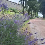 Abbazia Di Vallingegno Lantgård Gubbio