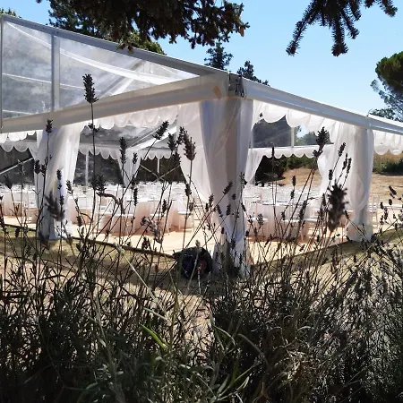 Abbazia Di Vallingegno