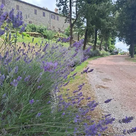 Abbazia Di Vallingegno Alloggio per agriturismo Gubbio