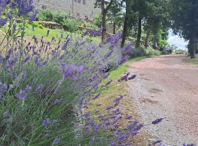 Abbazia Di Vallingegno Alojamento de Turismo Rural Gubbio